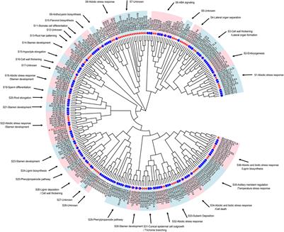 An R2R3-MYB Transcription Factor RmMYB108 Responds to Chilling Stress of Rosa multiflora and Conferred Cold Tolerance of Arabidopsis